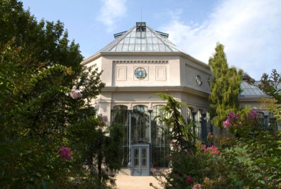 Budapest, Botanischer Garten der "Loránd Eötvös" Universität - Palmenhaus